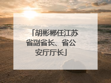 胡彬郴任江苏省副省长、省公安厅厅长