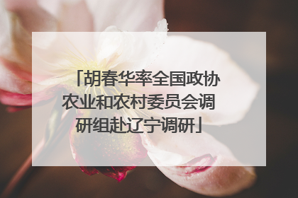 胡春华率全国政协农业和农村委员会调研组赴辽宁调研