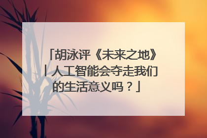 胡泳评《未来之地》︱人工智能会夺走我们的生活意义吗？