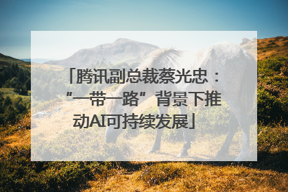 腾讯副总裁蔡光忠：“一带一路”背景下推动AI可持续发展