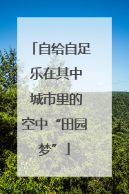 自给自足 乐在其中 城市里的空中“田园梦”