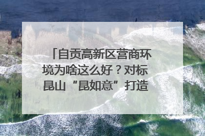 自贡高新区营商环境为啥这么好？对标昆山“昆如意”打造自贡“高兴办”｜美好生活有“盐”味