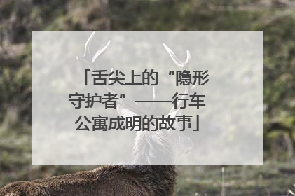 舌尖上的“隐形守护者”——行车公寓成明的故事
