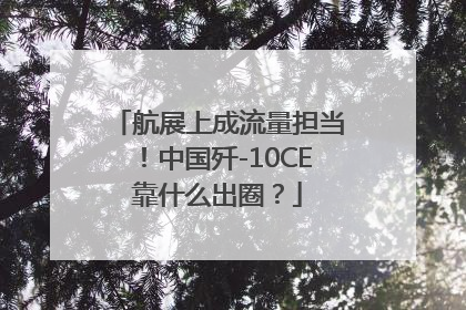 航展上成流量担当！中国歼-10CE靠什么出圈？