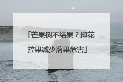 芒果树不结果？抑花控果减少落果危害