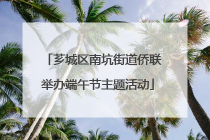 芗城区南坑街道侨联举办端午节主题活动