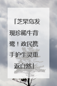 芝罘岛发现珍稀牛背鹭！政民携手护生灵重返自然