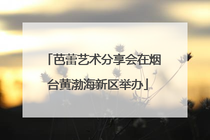 芭蕾艺术分享会在烟台黄渤海新区举办