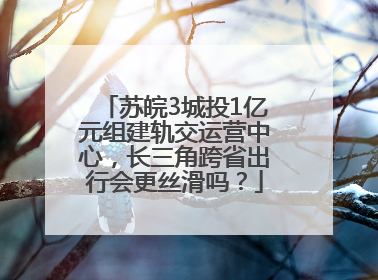 苏皖3城投1亿元组建轨交运营中心，长三角跨省出行会更丝滑吗？