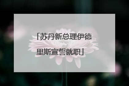 苏丹新总理伊德里斯宣誓就职