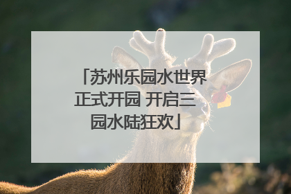 苏州乐园水世界正式开园 开启三园水陆狂欢