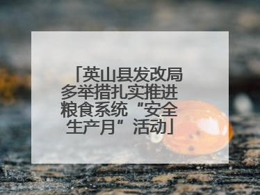 英山县发改局多举措扎实推进粮食系统“安全生产月”活动