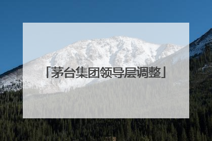 茅台集团领导层调整