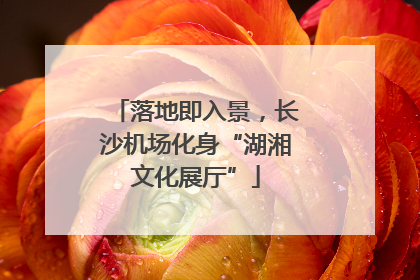 落地即入景，长沙机场化身“湖湘文化展厅”