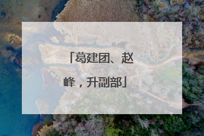 葛建团、赵峰，升副部