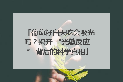 葡萄籽白天吃会吸光吗？揭开 “光敏反应” 背后的科学真相