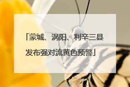 蒙城、涡阳、利辛三县发布强对流黄色预警