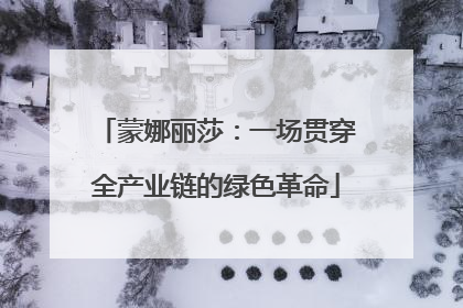 蒙娜丽莎：一场贯穿全产业链的绿色革命