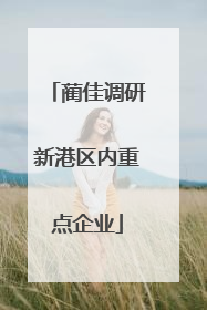 蔺佳调研新港区内重点企业