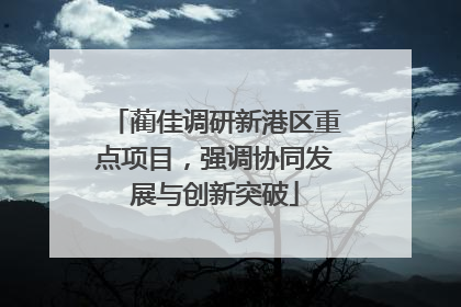 蔺佳调研新港区重点项目，强调协同发展与创新突破