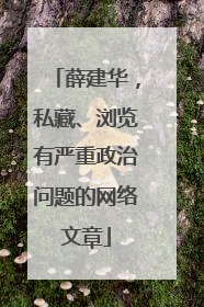 薛建华，私藏、浏览有严重政治问题的网络文章
