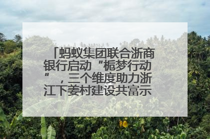 蚂蚁集团联合浙商银行启动“栀梦行动”，三个维度助力浙江下姜村建设共富示范区示范点