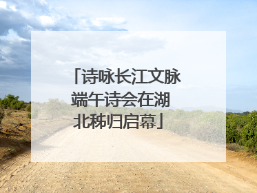 诗咏长江文脉 端午诗会在湖北秭归启幕
