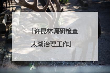 许昆林调研检查太湖治理工作
