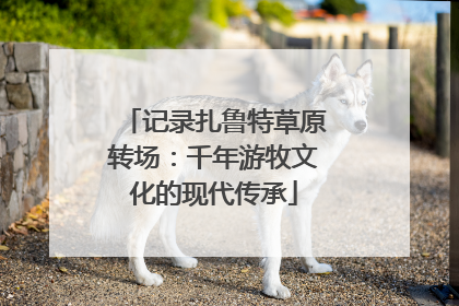 记录扎鲁特草原转场：千年游牧文化的现代传承