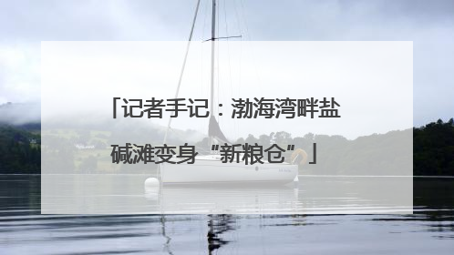 记者手记：渤海湾畔盐碱滩变身“新粮仓”