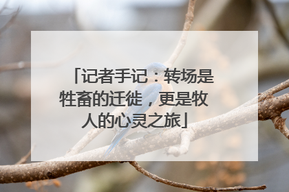 记者手记：转场是牲畜的迁徙，更是牧人的心灵之旅