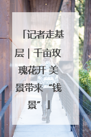 记者走基层｜千亩玫瑰花开 美景带来“钱景”