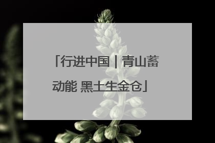 行进中国｜青山蓄动能 黑土生金仓