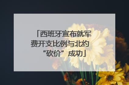 西班牙宣布就军费开支比例与北约“砍价”成功