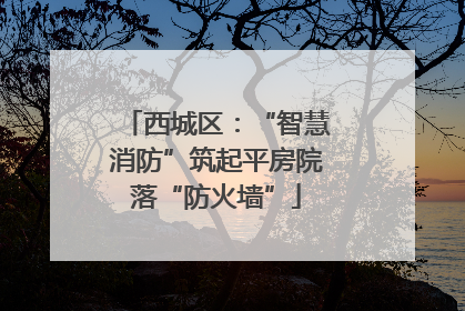 西城区：“智慧消防”筑起平房院落“防火墙”