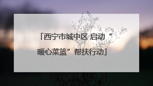 西宁市城中区 启动“暖心菜篮”帮扶行动