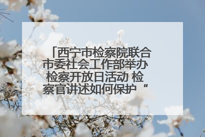 西宁市检察院联合市委社会工作部举办检察开放日活动 检察官讲述如何保护“少年的你”