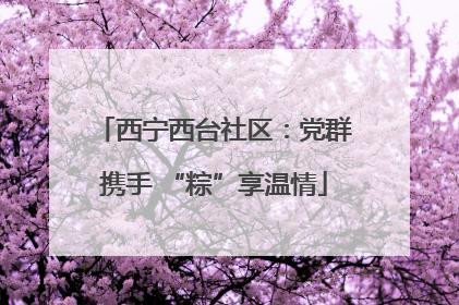 西宁西台社区：党群携手 “粽”享温情
