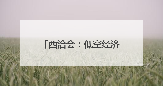 西洽会：低空经济展商引关注(2)