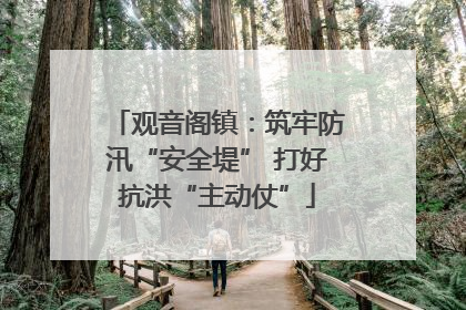 观音阁镇：筑牢防汛“安全堤” 打好抗洪“主动仗”