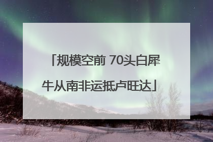 规模空前 70头白犀牛从南非运抵卢旺达