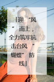 迎 “风” 而上，全力筑牢抗击台风 “蝴蝶” 防线