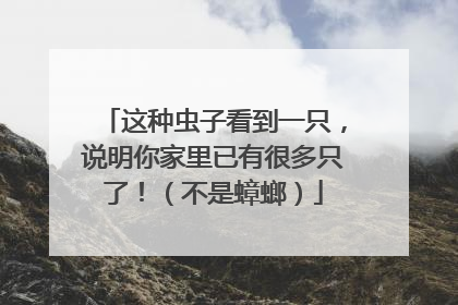 这种虫子看到一只，说明你家里已有很多只了！（不是蟑螂）