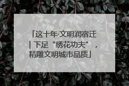 这十年·文明润宿迁｜下足“绣花功夫”，精雕文明城市品质