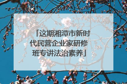 这期湘潭市新时代民营企业家研修班专讲法治素养