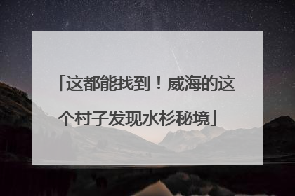 这都能找到！威海的这个村子发现水杉秘境