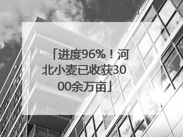 进度96%！河北小麦已收获3000余万亩