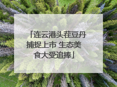 连云港头茬豆丹捕捉上市 生态美食大受追捧