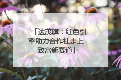 达茂旗：红色引擎助力合作社走上致富新赛道