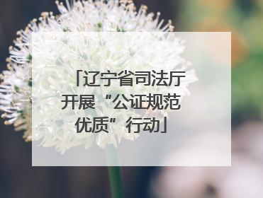 辽宁省司法厅开展“公证规范优质”行动
